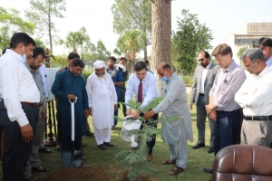 Monsoon Plantation Drive August,2021